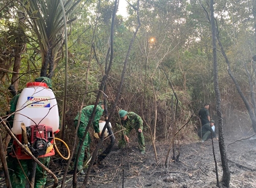 Kiên Giang: Khống chế đám cháy rìa rừng, không để cháy lan vào Vườn quốc gia Phú Quốc